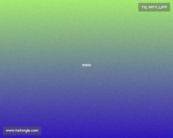 中超权健今天 中超权健今天