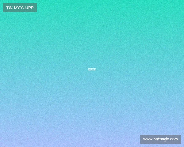 赛事与赛制 赛事与赛制