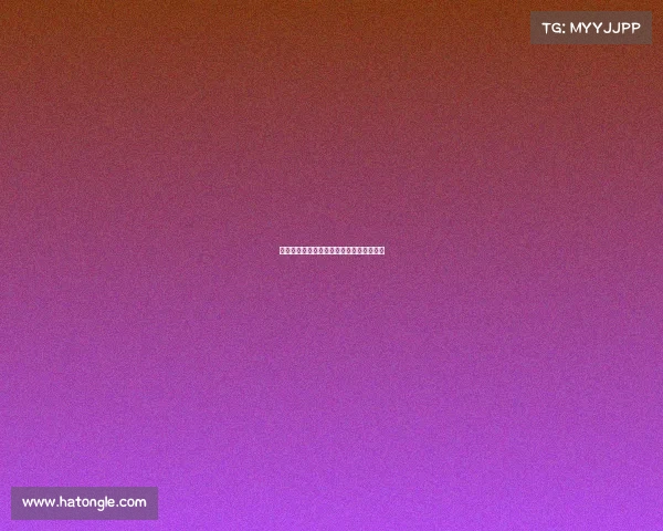 站立格斗最好的赛事、站立式格斗世界排名